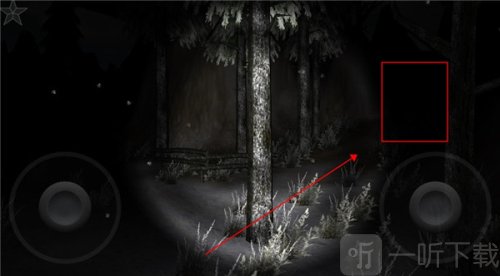 森林2