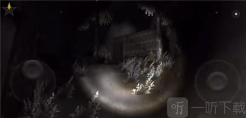 森林2