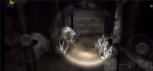 森林2