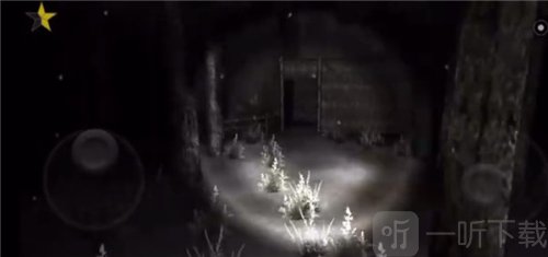 森林2