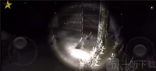 森林2