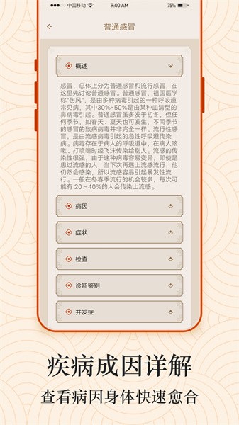 经络穴位图