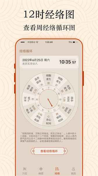 经络穴位图