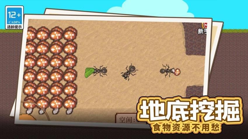 蚂蚁指挥官