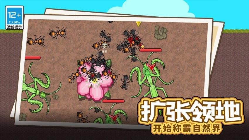 蚂蚁指挥官