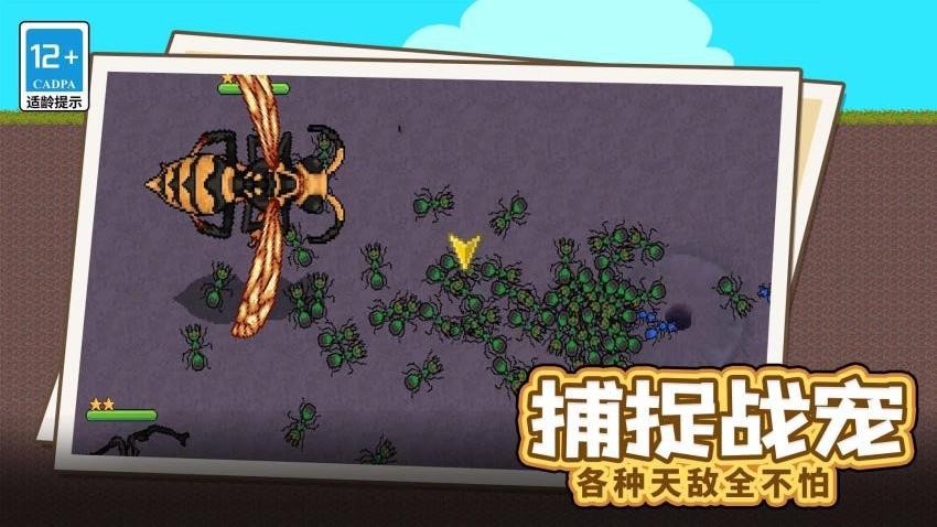蚂蚁指挥官
