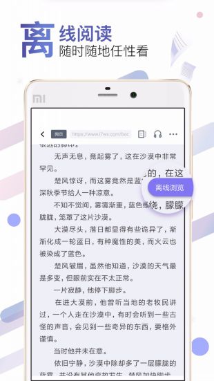 饭团探书旧版本v1.30.118安卓版