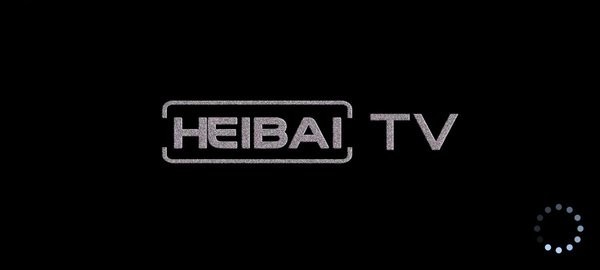 黑白电视下载软件