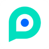  PP