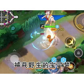 宝可梦大集结中 武道熊师连击流与一击流实战表现如何对比？