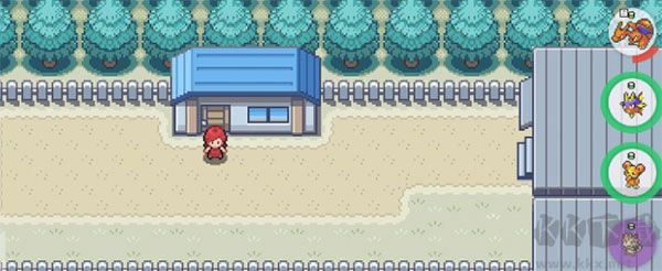 PokeMMO