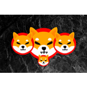尚无资产管理公司申请柴犬币（SHIB）ETF。原因如下