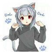 冷狐宝盒最新版2024