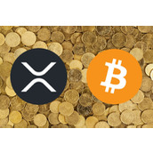 XRP支持者给比特币持有者的真诚建议