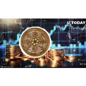 有人真的支付了370万美元的卡尔达诺（ADA）手续费吗？
