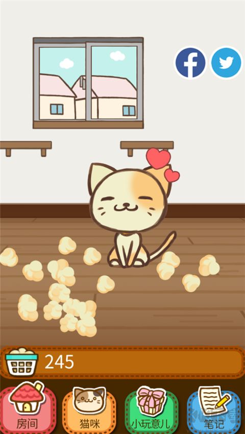 猫咪的毛