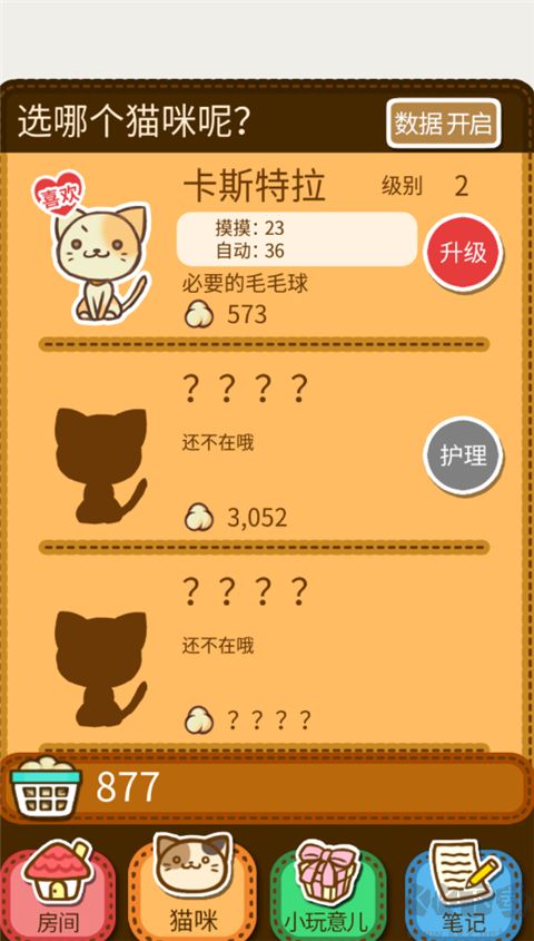 猫咪的毛