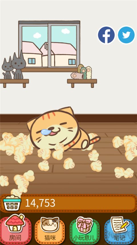 猫咪的毛