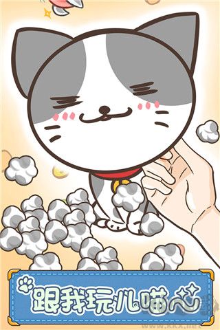 猫咪的毛