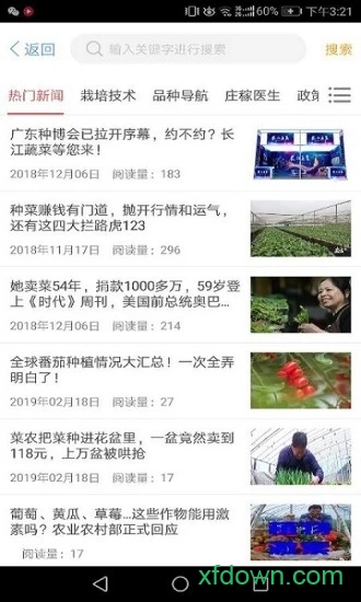 长江蔬菜