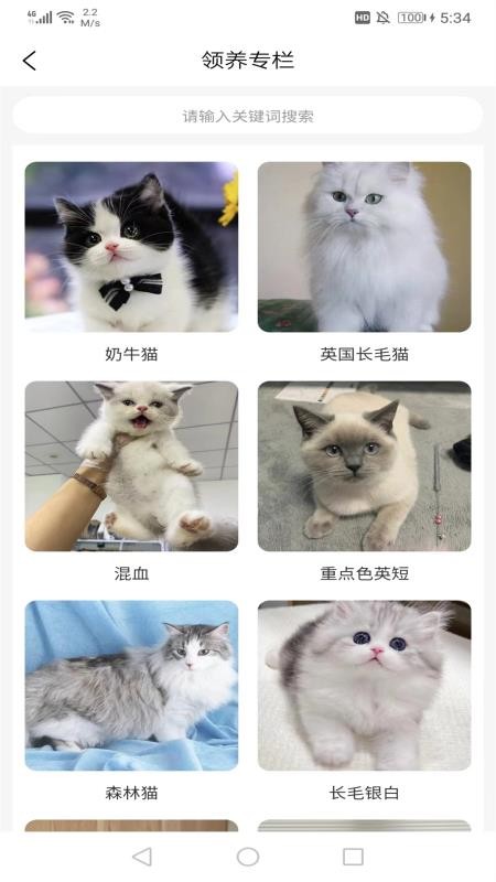宠哩吖