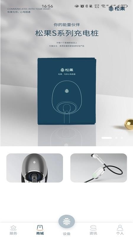 松果能源
