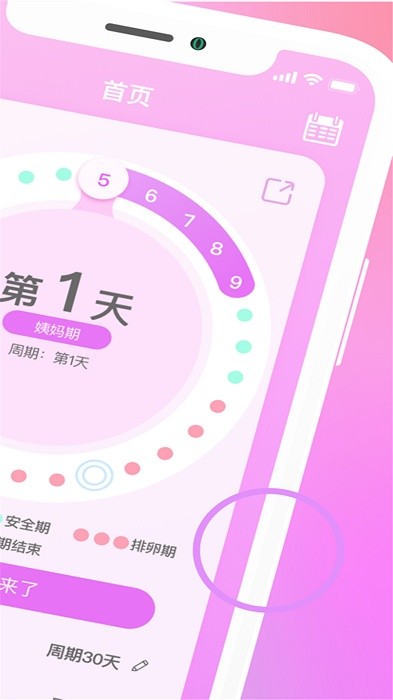 月经期安全期