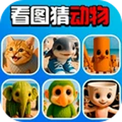 脑洞争霸赛