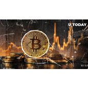 顶级交易员：比特币尚未触底