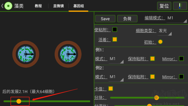 细胞实验室（Cell Lab）