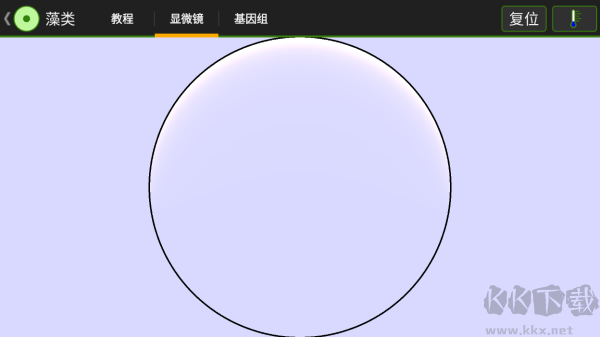 细胞实验室（Cell Lab）