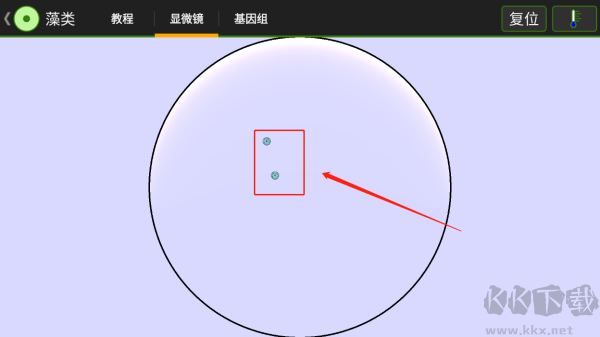 细胞实验室（Cell Lab）