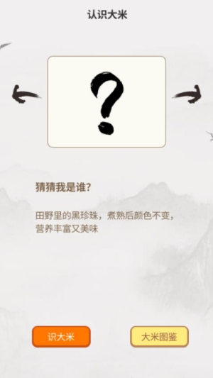 大米成语通