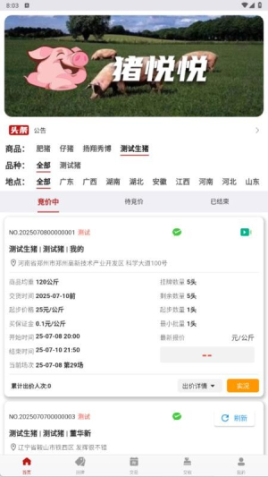 猪悦悦