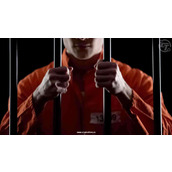 AML比特币创始人因欺诈被判7年监禁