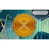 专家揭示XRP将在8月中旬创下新高的原因
