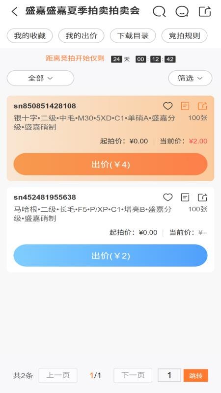 盛嘉竞拍