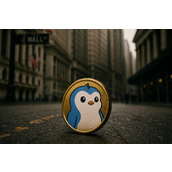 SEC受理胖企鹅PENGU的ETF申请：首支Meme币与NFT混合指数基金