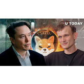 SHIB军团呼吁埃隆·马斯克销毁SHIB，就像Vitalik Buterin那样
