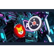 柴犬币（SHIB）造就百万富翁，专家表示在CoinMarketCap上市后Ruvi AI（RUVI）可能成为下一个暴富机会，预计回报率高达13,200%