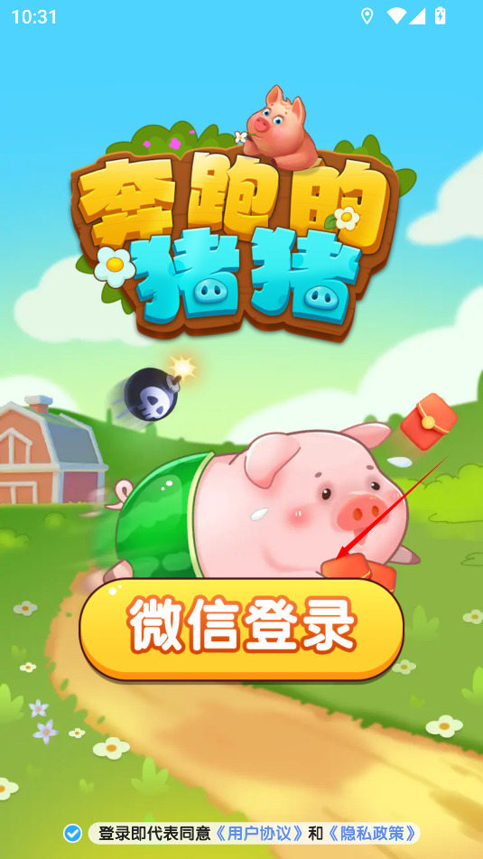 奔跑的猪猪