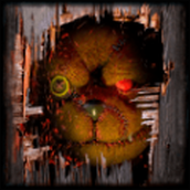 泰迪弗雷迪（Teddy Freddy）