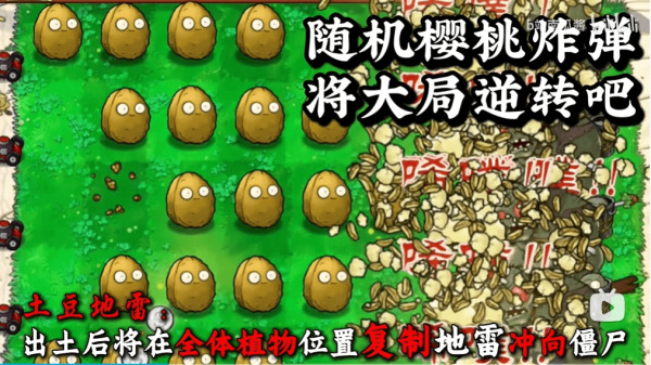 植物大战僵尸吃不了席版