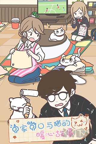 猫咪饲养日常