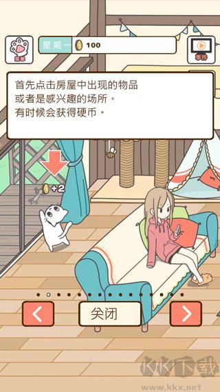 猫咪饲养日常