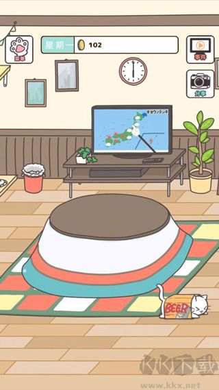猫咪饲养日常