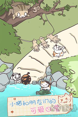 猫咪饲养日常