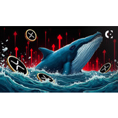XRP巨鲸再次开始抛售，模式与以往价格暴跌前如出一辙