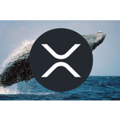 XRP巨鲸豪掷233万美元押注900万美元多头头寸，他究竟知道什么内幕？