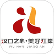 大江金岸